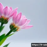 Home 7 중독상담사로서의 직업 만족도를 높이는 방법 관련 이미지 1